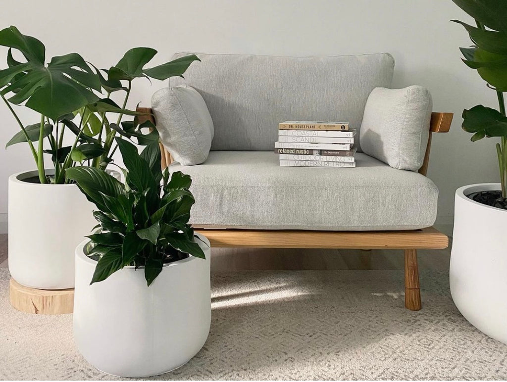 How to bring nature into your home! Golden advice from plant gurus!